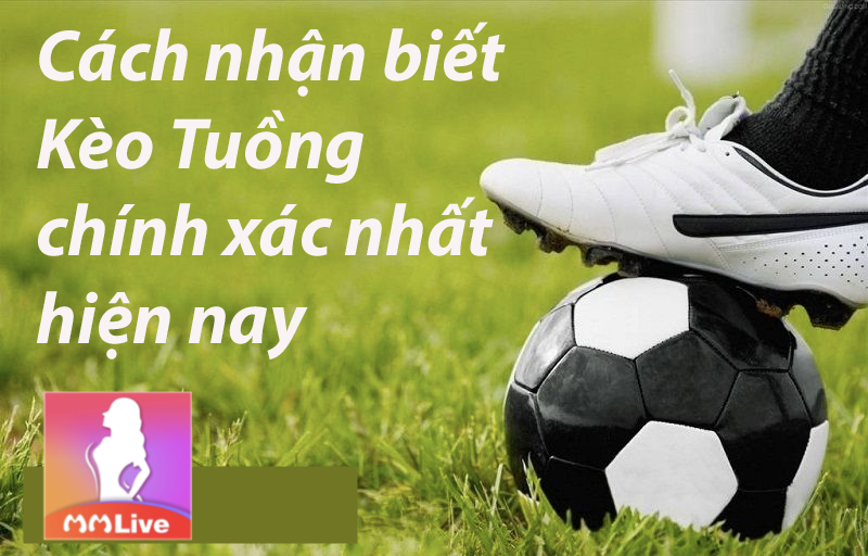 nhận biết kèo tuồng